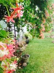 New Manik Homestay