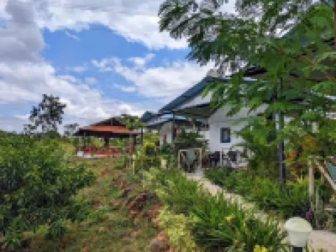 Wilderness Jungle Camp Hotels in Mandya