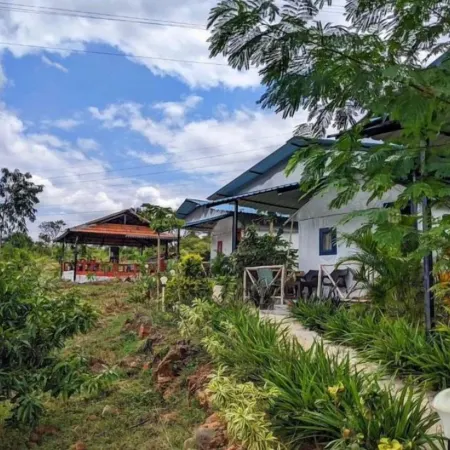Wilderness Jungle Camp