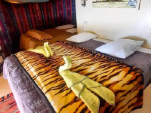 Hotel Pansy Hotels in Douz