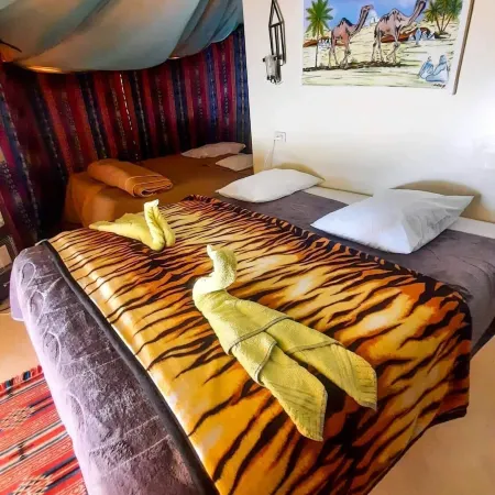 Hotel Pansy Hotels in Douz