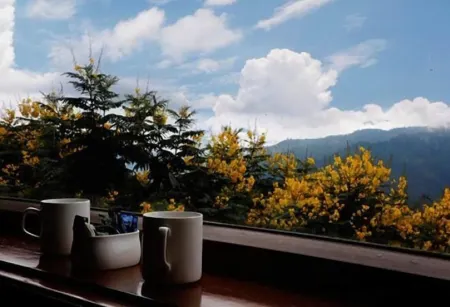 Shivani Foods And Resort Отели рядом с достопримечательностью «Golu Devta temple»