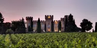 Hostellerie du Château des Fines Roches 샤또뇌프듀빠쁘 호텔