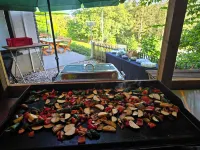 Pension Haus Diefenbach Hotels in Heimbach