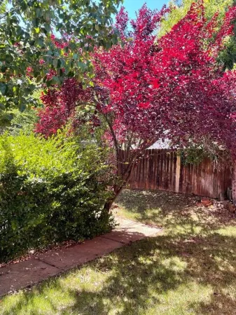 Spacious Kitchen and Large Patio for Family Fun - Stylish Haven