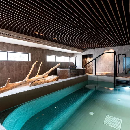 Hôtel Roz Marine Thalasso Resort