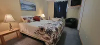 NEWCASTLE COUNTRY INN Hotels in Drumheller