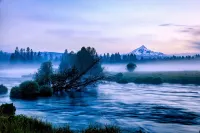 House on Metolius Hotels in Jefferson County