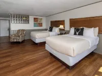 Switzerland Inn Hotels in Mitchell County