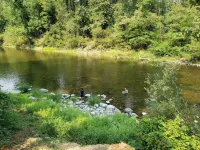 Riverside Home With a Rustic Charm Hotels in Washougal