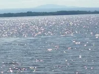 Champlain Islands Lake Front! Prime Week Left Summer 2026! July 26 to August 1 Hotels in Alburgh