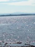 Champlain Islands Lake Front! Prime Week Left Summer 2026! July 26 to August 1