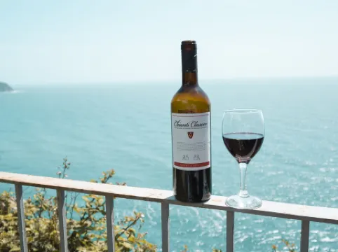 A CORNER OF PEACE OVERLOOKING THE SEA