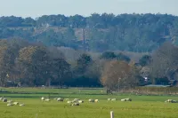 Noord Holland at your feet - Recreation bungalow Klein Heemshof