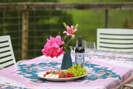 Escape to Valley View Nature Retreat – A Hidden Sanctuary in Apollo Bay