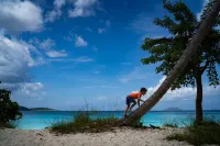 Best views & pool deck on St John just up the hill from Cinnamon Bay Beach. - Villas