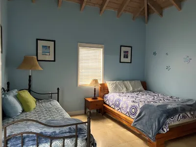Beautiful 3 Bedroom 3 Bath Beachfront Property on Nevis  -St Kitts and Nevis  호텔