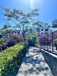 HUGE LUXURY SECURE 3/3 CONDO NEAR WHITE HOT TAMARINDO SURF!