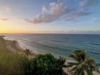 Live the real island experience!