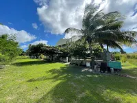 Almond Palm Apartment Hotel a 