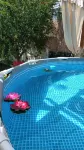 The pink corner is a facility located in a small town a few kilometers from the sea