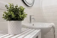 Trieste Time Capsule