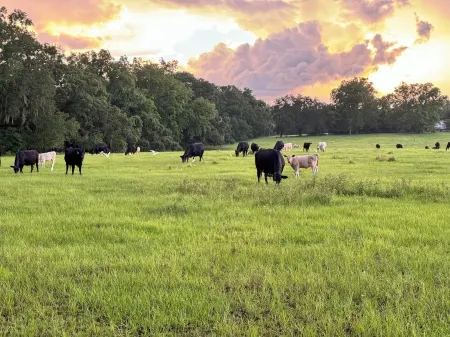 Charming studio with AC and WiFi in fabulous Alachua