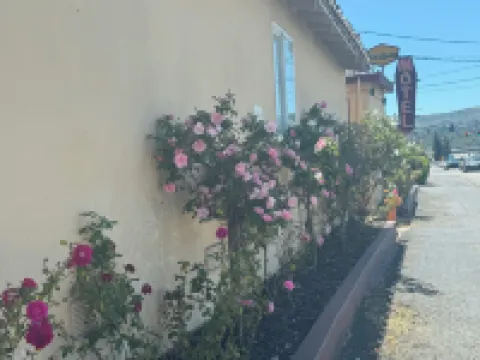 Tamalpais Motel Hotels in Mill Valley