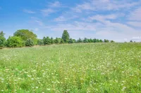 Handcrafted Log Cabin on 3 Acres 14 Mi to Canton