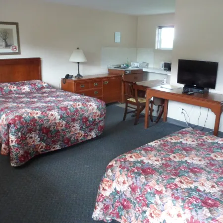 The Silver Birch Motel