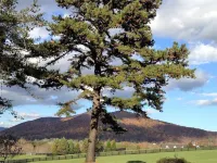 Montfair Resort Farm Hotel a Albemarle County