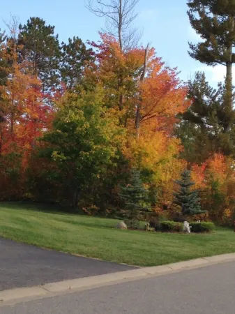 Itascan Motel Отели в г. Гранд-Рапидс