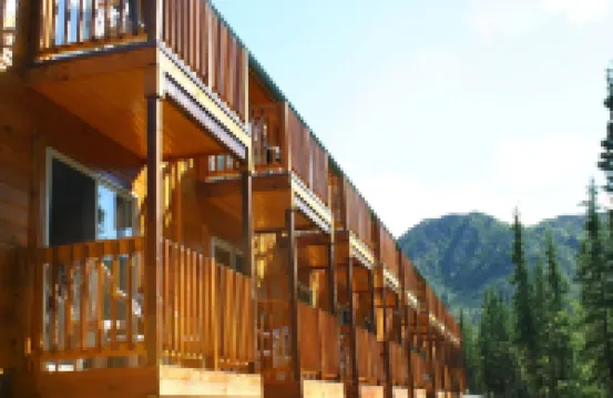 Denali Grizzly Bear Resort