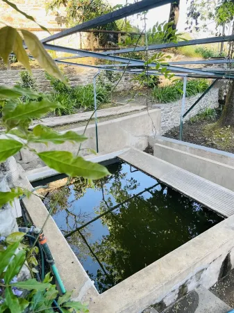 Casa Junto ao Rio Douro, Ideal Para Famílias. A 10 Minutos da Cidade do Porto Отели рядом с достопримечательностью «Church of São Pedro da Cova»