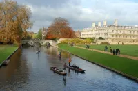 The Holly Tree Hotels in Cambridge