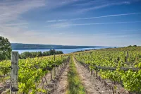 Finger Lakes Farm Retreat Walk to Wineries! - parking