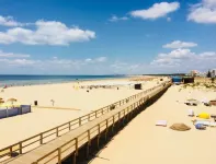 Sophisticated T2 in Monte Gordo C / WiFi