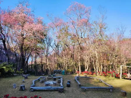 Baan Kiang Doi Отели в г. Wiang Kaen