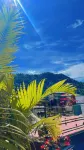 Areal House Tam Đảo Hotels in TT. Tam Dao