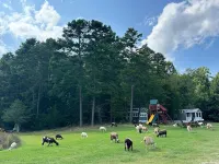 Tiny House - Farm Charm 查塔姆縣酒店