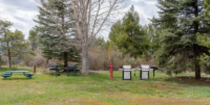 Spacious, 4Br Group Retreat , Fireplace, Deck with Views, Rmnp