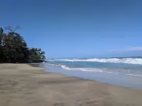 Caribbean Alchemy  Cocles Beach