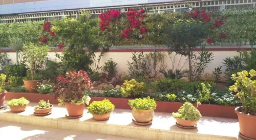 3 Bedroom Apartment in Gallipoli