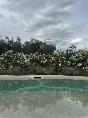 Country villa with pool near Rome Các khách sạn ở Fara in Sabina