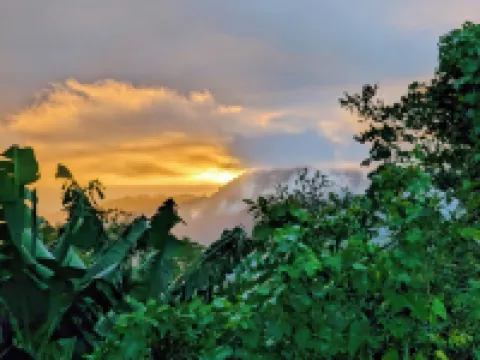 Cabin next to the forest with mountain view 帕拉伊索酒店
