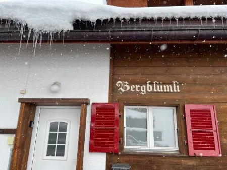 Engel Ingold Lodge-Romantic place in the middle of the Swiss Alps-Hotel Services Отели в г. Хабкерн