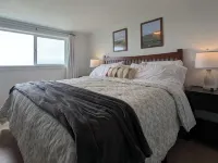 Oceanfront Home Views! Path to Beach! Dog Friendly! Great Outdoor Spaces-Updated Hotels in Grayland