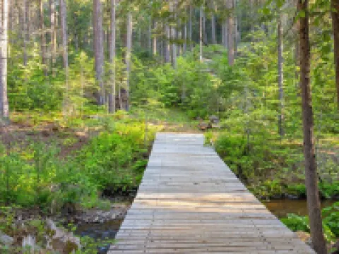 Creek Cabin - Fly-in Acres Lake Access - private Creek access with fire pit Hotels in Arnold