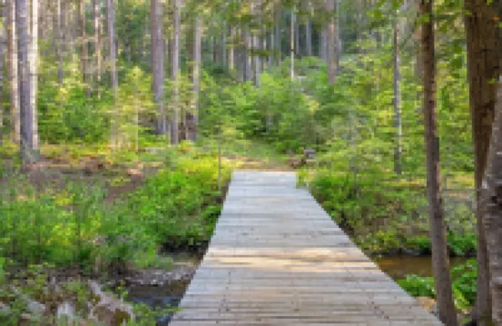 Creek Cabin - Fly-in Acres Lake Access - private Creek access with fire pit