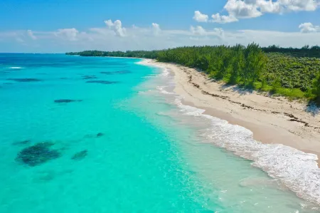 Simple Life Cottage 1 Bedroom Cottage